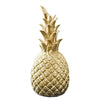 Pineapple  For Living Room