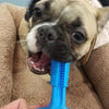 Toothbrush Dog Brushing Stick